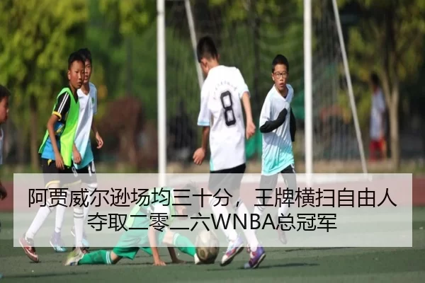 a-jia-wei-er-xun-chang-jun-san-shi-fen-wang-pai-heng-sao-zi-you-ren-duo-qu-er-ling-er-liu-zong-guan-jun-2-911.jpg